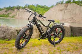 The Future of Sustainable Transportation and Electric Bicycles