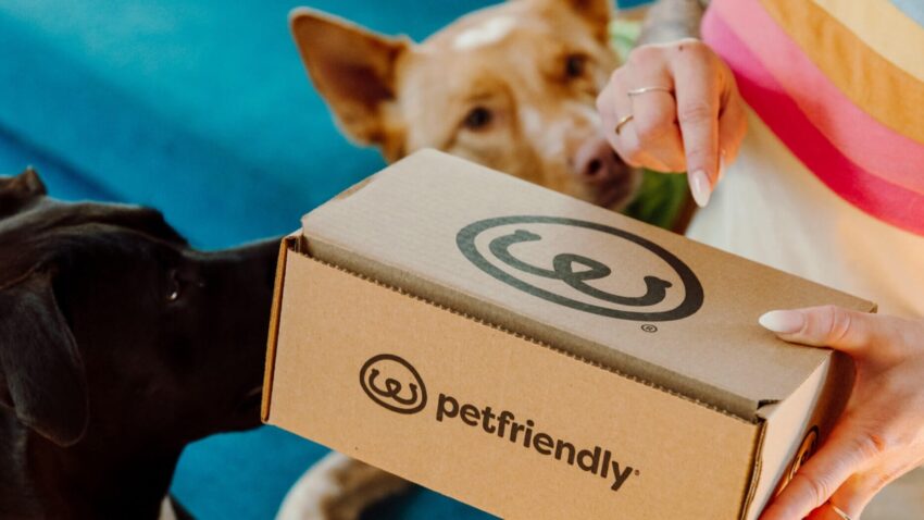 subscription boxes for dogs